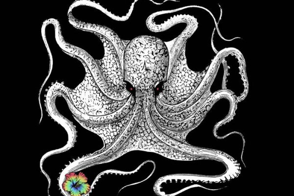 Рабочий сайт kraken