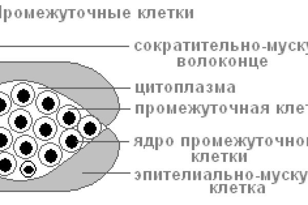 Кракен зеркало на тор
