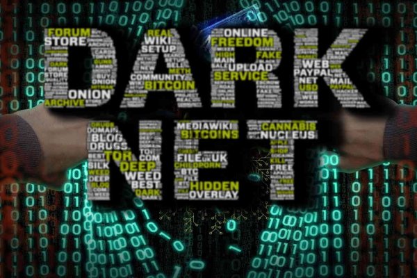 Кракен даркнет store kraken dark link
