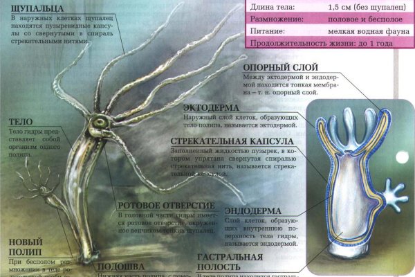 Кракен сайт даркнет